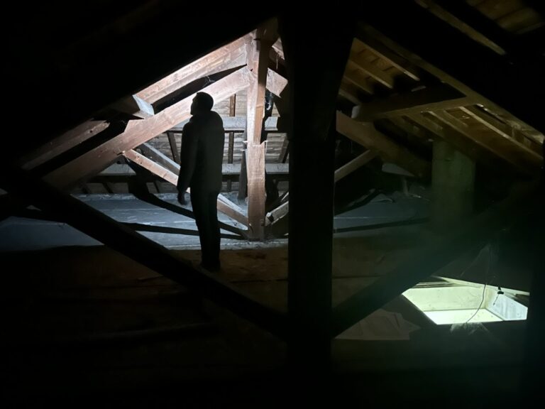 Combles non aménagés avant travaux dans un appartement à Caluire-et-Cuire